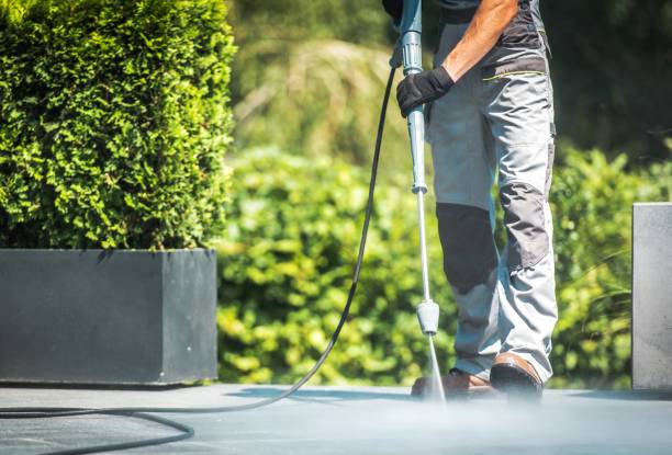 Best Roof Washing  in Corralitos, CA