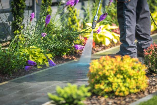 Best Gutter Cleaning  in Corralitos, CA