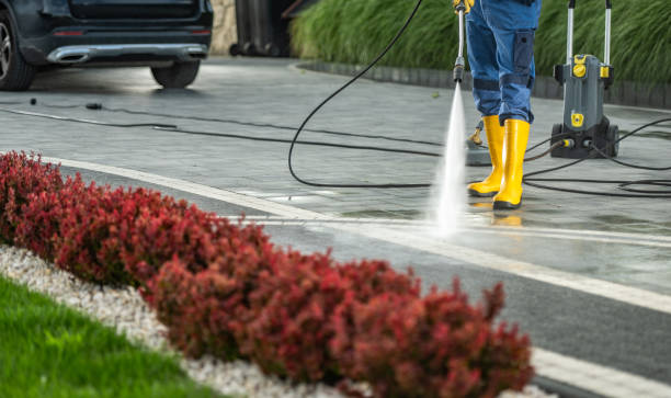 Best House Exterior Washing  in Corralitos, CA